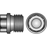 FASTEN Zeskant Kraagplug D910 BSPT blank