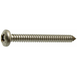 FASTEN Plaatschroef CK D7981CZ PZ ELVZ
