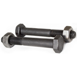 FASTEN zesk.bout met zesk.moer D601/555 4.6 ELVZ