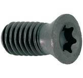 TORX-schroef voor wisselplaat